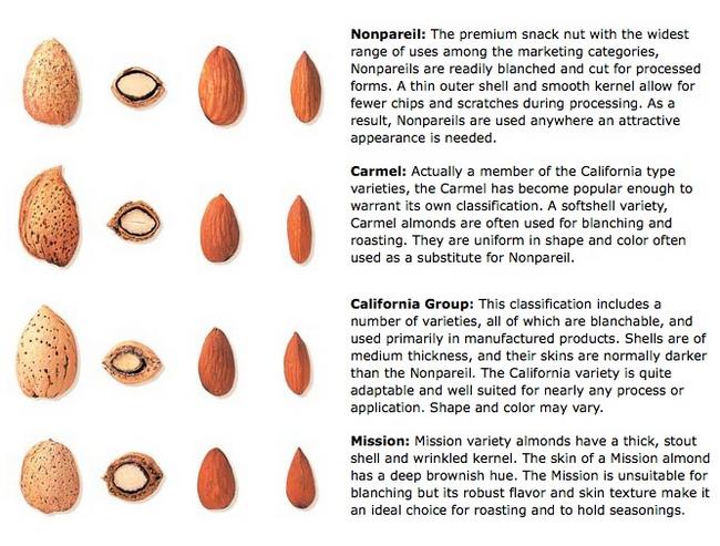 Almond Variety Chart