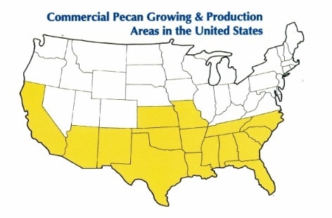 123 pecan map