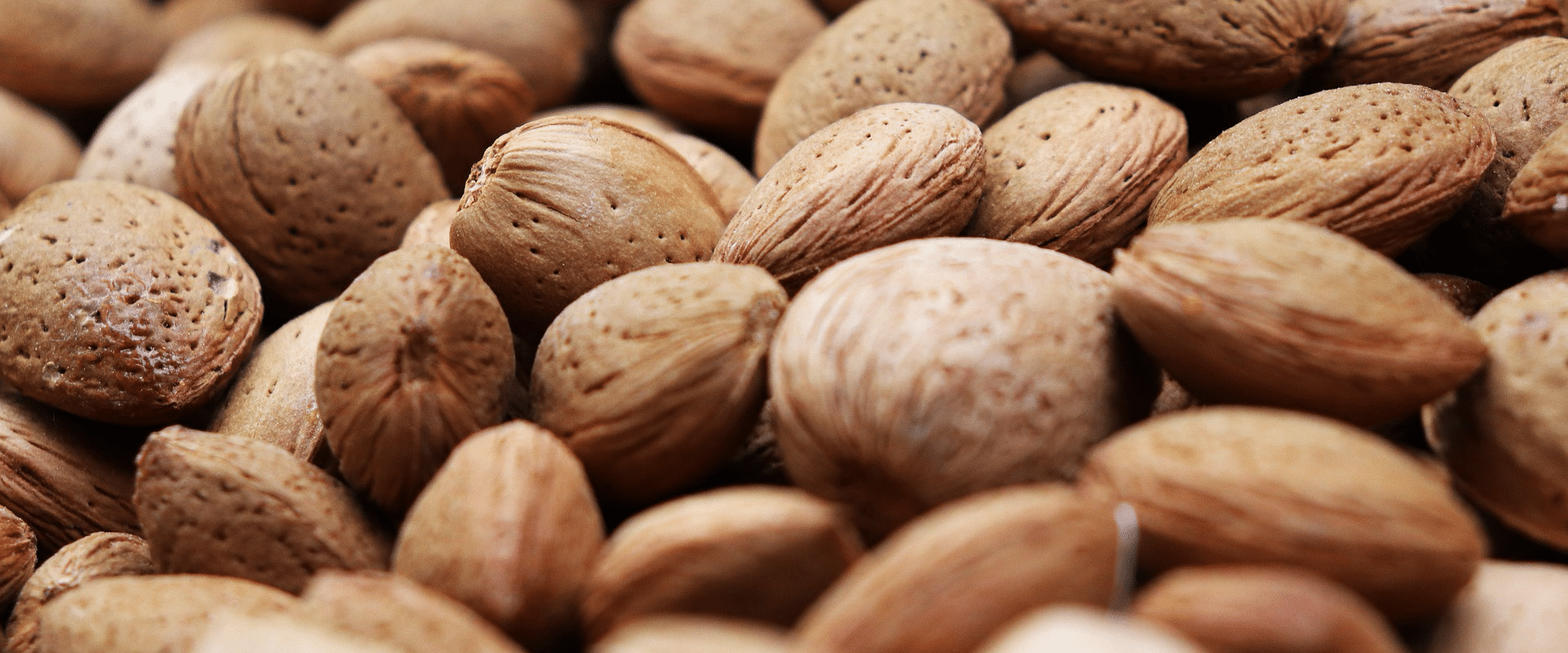 Almond Varieties Debbie Roy Brokerage Company, Inc.