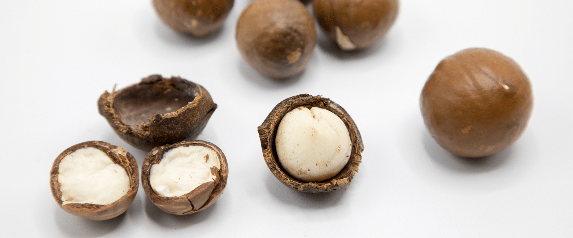 Macadamia Nuts